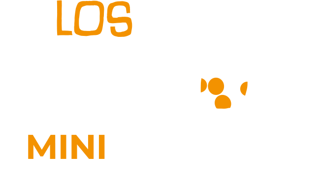 5to Humanidades Santa Rosa ISR